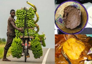 The Plantain and Millet (Karo) are some of the popular foods of Banyankole